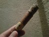 IMG00548-20130211-2317_2.jpg