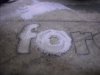 DSCN7347.jpg