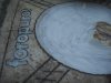DSCN7428.jpg