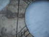 DSCN7447.jpg
