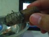RASS 072.JPG