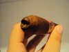 peque_DSC03954.JPG