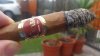 20150804_161225.jpg