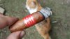 rps20160501_150804.jpg