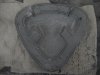 DSCN8557.jpg