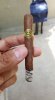 Padron Cortico.jpg