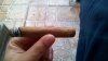 WP_20160604_007.jpg