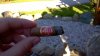 WP_20160617_002.jpg