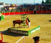 _20160805_014222.JPG