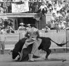 Media verónica de sabor añejo en la Real Maestranza de Caballería de Sevilla.jpg