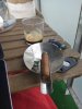 IMG_20170209_171859.jpg
