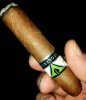 IMG_20170219_143630_763.jpg
