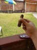20170414_123620.jpg