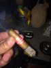 IMG_0656.JPG