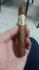 Avo Heritage Robusto.jpg