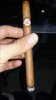 IMG-20181130-WA0014.jpeg