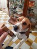 20181208_163113.jpg