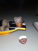 IMG_20181209_001743.jpg