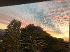 IMG-20190207-WA0040.jpg