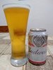 IMG_20190626_204437088.jpg