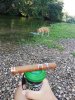 IMG_20190802_190636.jpg