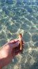 IMG-20190730-WA0004.jpeg