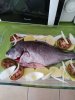 IMG_20190928_132533.jpg