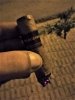 placeres robusto 2.jpg