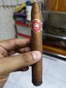 IMG_20191212_205937.jpg