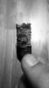 94B7D642-4956-4ACC-B74F-E2E35DFEEE81.jpeg