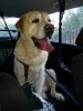 IMG_20180927_193551.jpg