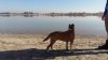 20151208_123926.jpg