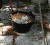 IMG_20200703_121912.jpg