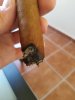 IMG_20201004_160453.jpg