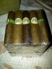 tn_joya de san andres torito maduro y natural.jpg