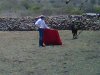 IMG00123-20110626-1342.jpg