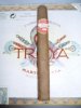 TROYA 3.JPG