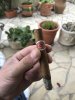 IMG_0767.jpeg