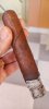 IMG_20231022_112039-01.jpeg