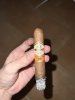 IMG_0243.jpeg