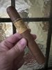 IMG_9788.jpeg