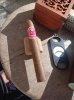 IMG_20231115_121713.jpg