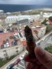IMG_1065.jpeg