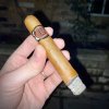 IMG_1483.jpeg