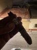 IMG_1249.jpeg