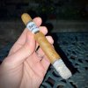 IMG_1924.jpeg
