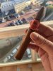 IMG_1655.jpeg