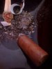 Imagen 049.jpg