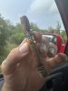 IMG_3878.jpeg