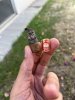 IMG_5478.jpeg